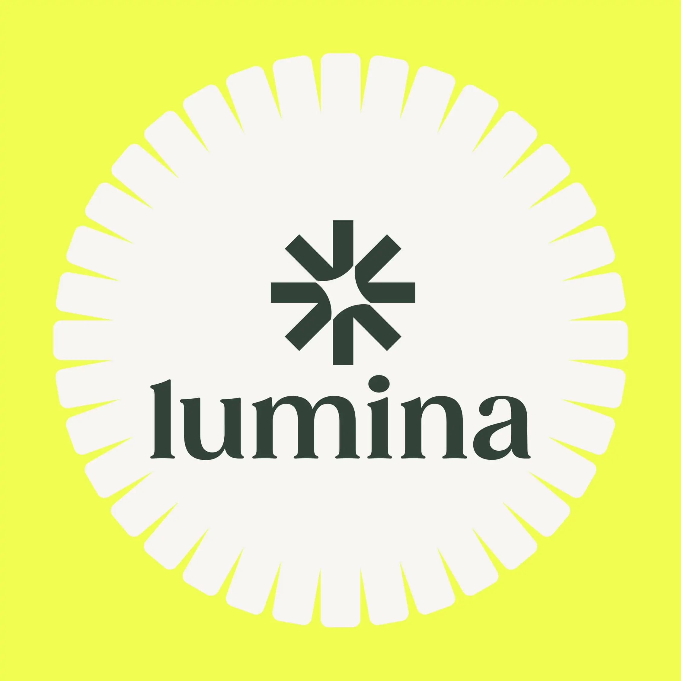 Introducing Lumina